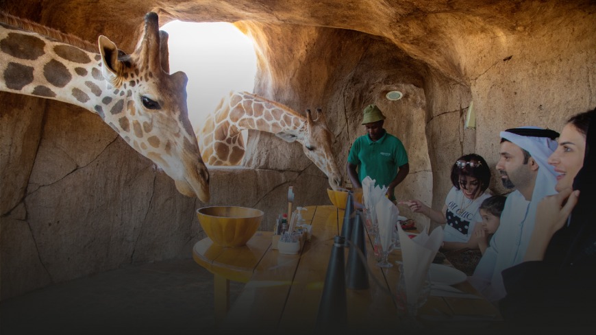 Top Animal and Pet Cafés in the UAE Top Animal and Pet Cafés in the UAE